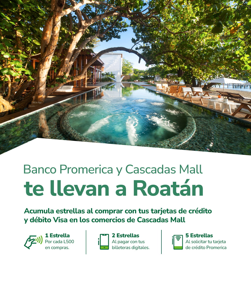 banner-web-mo-vil-min