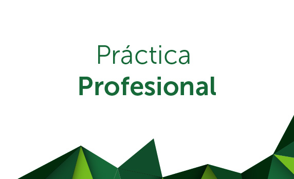 practica_profesional