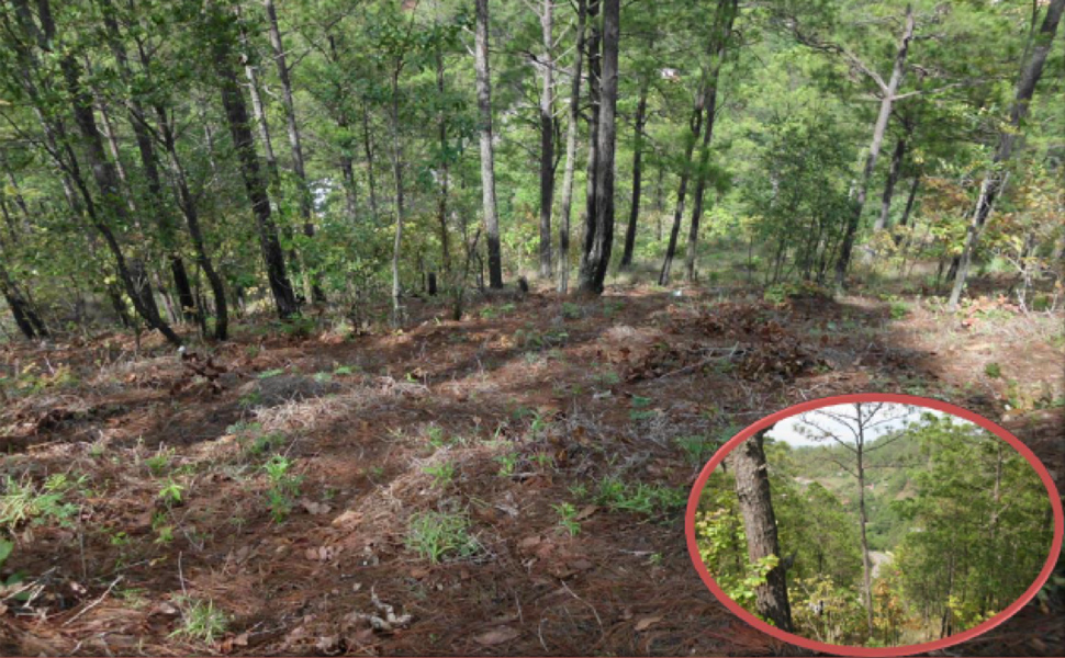 Quebrada Honda