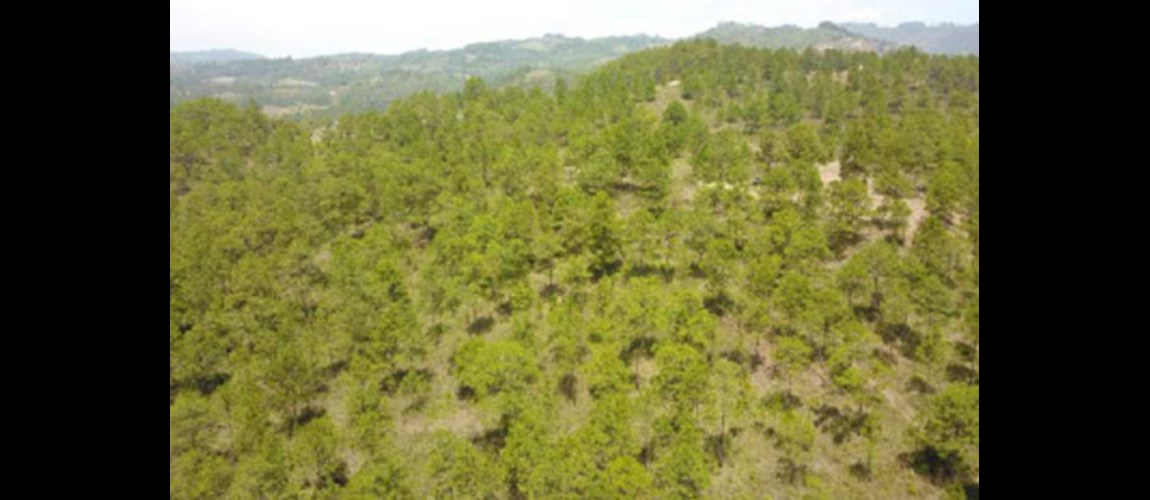 Res. San Ignacio