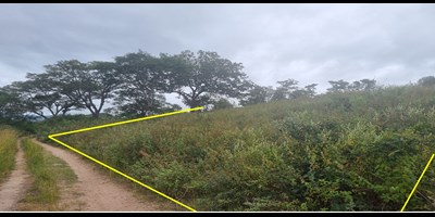 Los Mangos, Tegucigalpa
