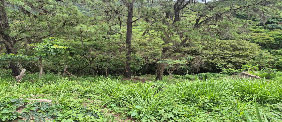 Loma Alta, El Chimbo